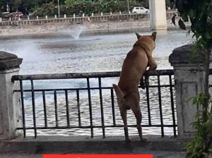 ​小姐姐喝水挑战，谁敢迎战？